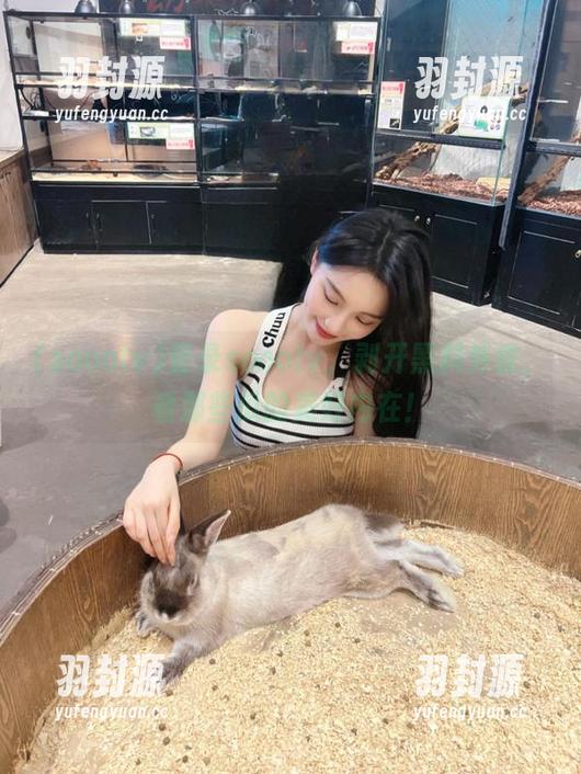 登录soootv，剥开黑料外皮，看那些瓜的美好内在！