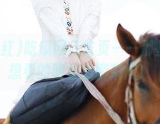 吃瓜网红首页——那些你绝对想看的明星尬聊瞬间！