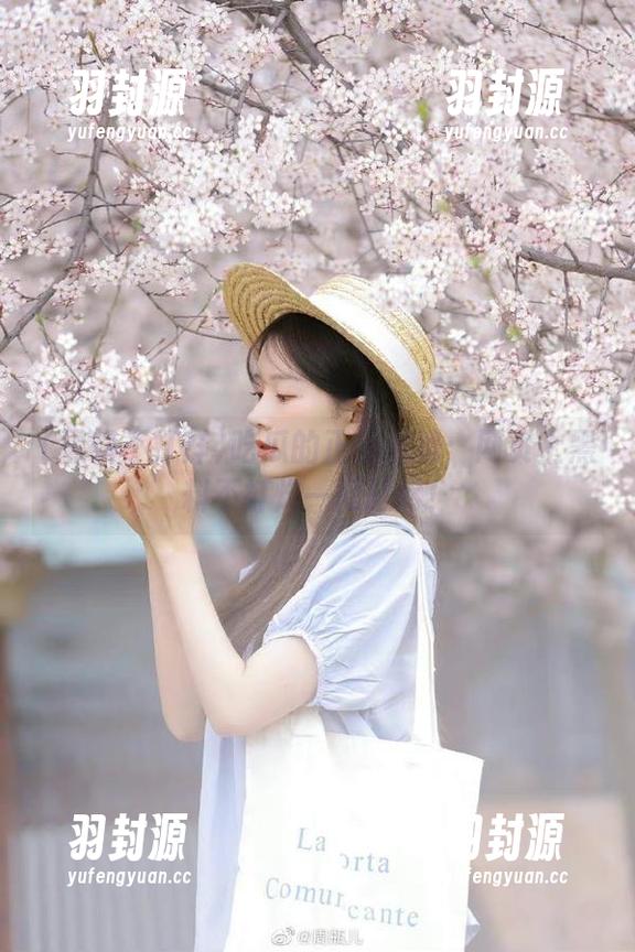 吃瓜的正确姿势：网页上黑料不打烊一网打尽！