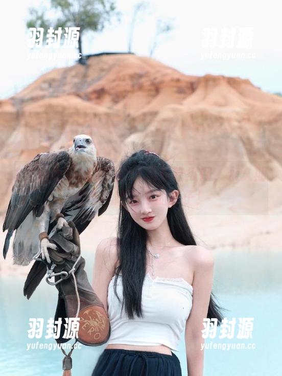 聊聊51黑料吃瓜网，永久期待与风险相伴的日子！