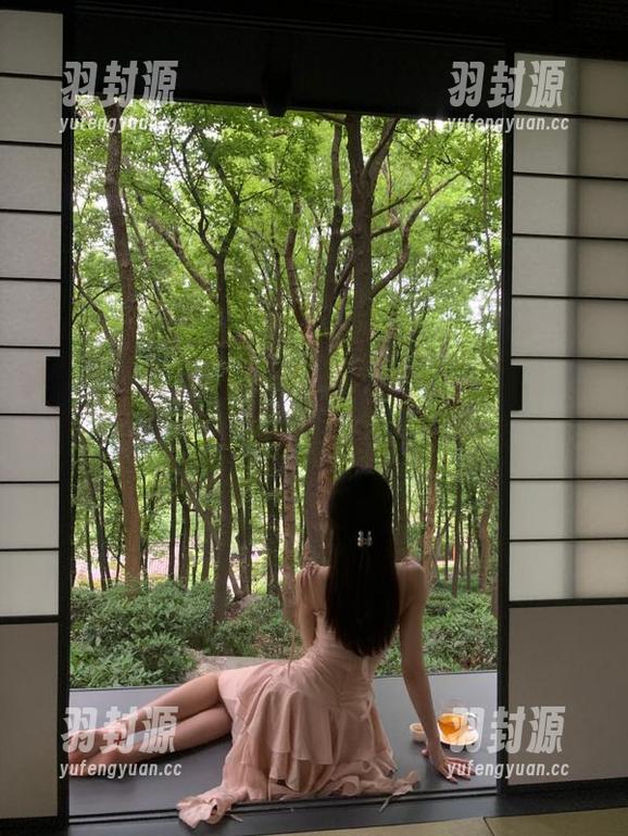 迷失在黑料社正能量tttzzz的网页入口？链接体验真是神奇！