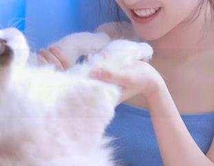 155.fun.黑料网安卓专属功能揭秘：“吃瓜”其实是一门艺术！