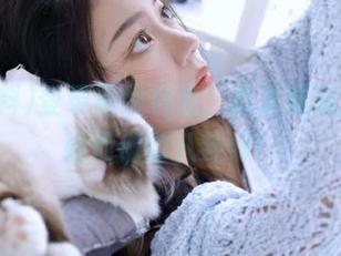 登录黑网料后，我发现脑洞还不如他们的八卦好！