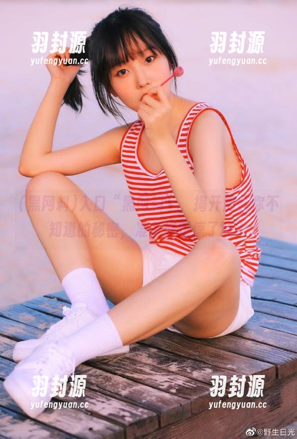 入口“黑网料”，揭开那些你不知道的秘密，准备好震惊了吗？